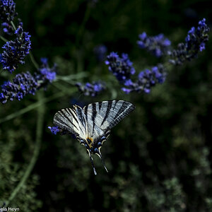 Ausflug ins Blaue