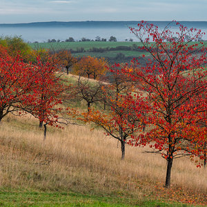 Herbstfarben