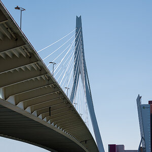 Erasmusbrücke, Rotterdam