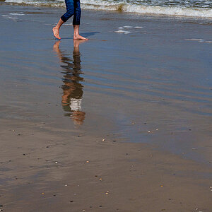 Strandläufer