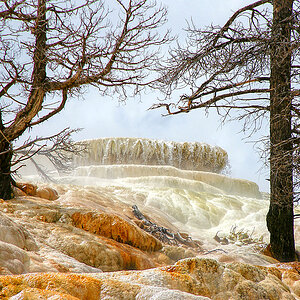 Mammoth Hot Springs