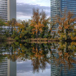 Herbstliche Spiegelungen 2