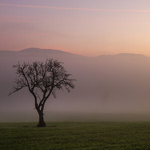 Minimalismus der Natur