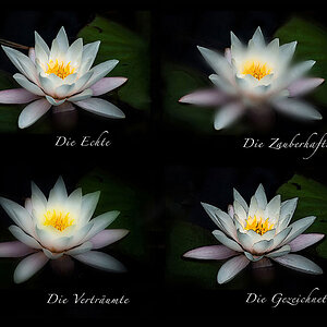 Aus 1 mach 4, und aus  4 wieder 1... ;-)