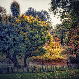 Türkenschanzpark