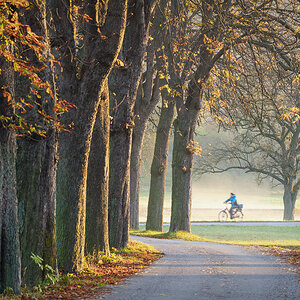 Herbst-Ausflug