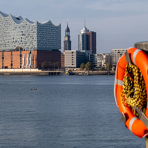 Paddler auf der Elbe