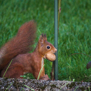 Nicht gucken!