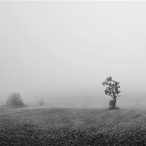 Landschaft im Nebel