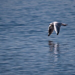 Am Meer