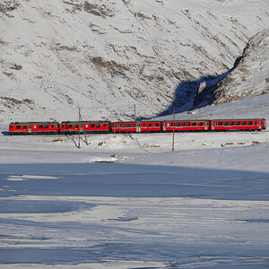 Bernina Express am Lago Bianco auf 2234 Hm.