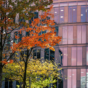 Herbst im Media-Park