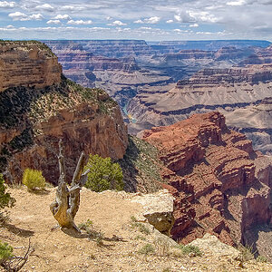 Bei Hermit's Rest