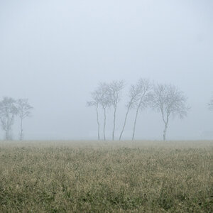 Nebel im Wendland