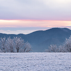 Frostiger Sonnenuntergang.jpg