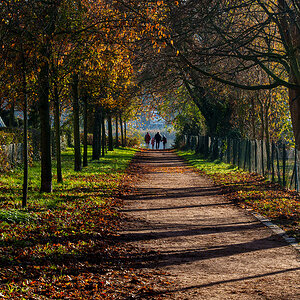 Herbstspaziergang