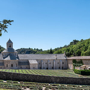 Abbaye la Senanque