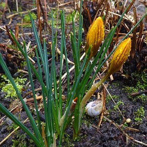 Frühling lässt ...