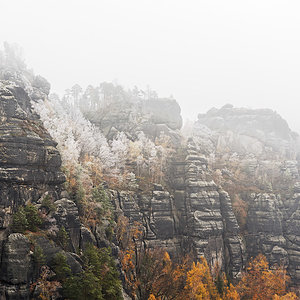 November im Elbsandsteingebirge