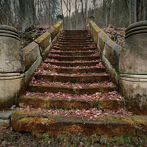 Treppe zum Wald