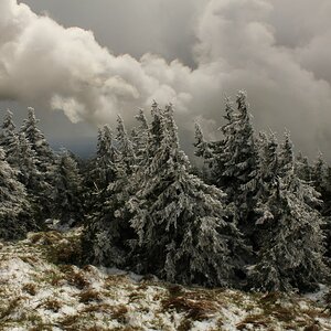 Auf dem Brocken