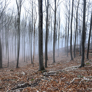 Nebel zieht hoch