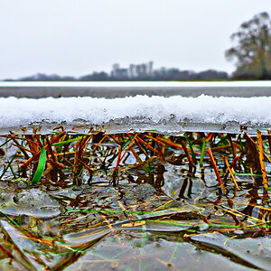 WIESE unter EIS .jpg