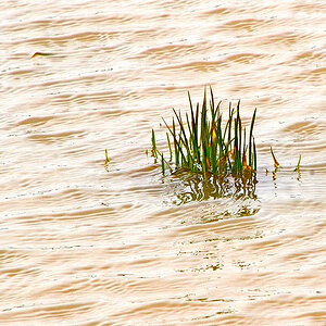 etwas Hochwasser