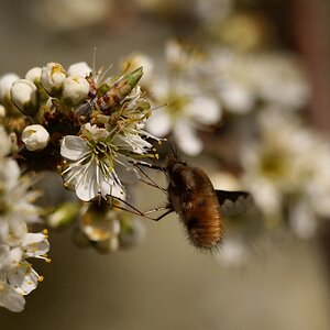 Die Schönheit der Natur II