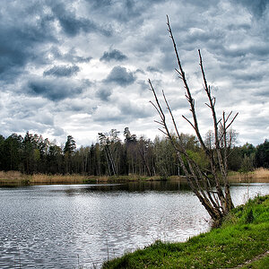 _am_weiher.jpg