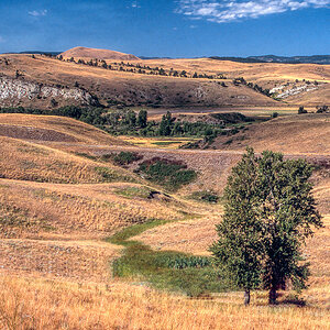 Hügelige Landschaft