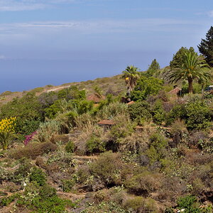 La Palma II