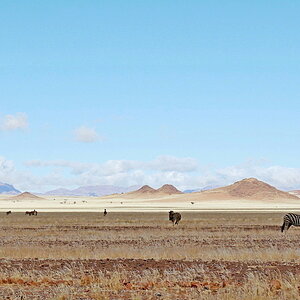 Namibische Steppe