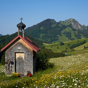 Frühling im Tannheimer Tal.