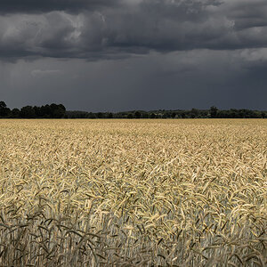 Vor dem Gewitter