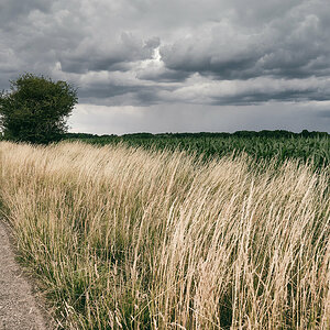 Landschaft ohne Eckläufer