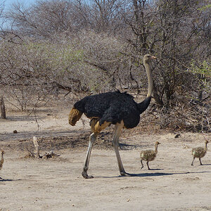 Familienausflug