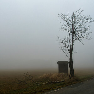 Nebel