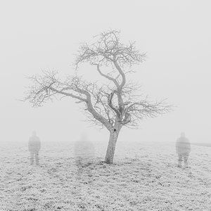 Im Nebel III.jpg