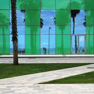 Fassade mit Palmen