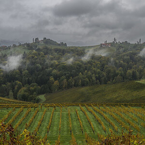 Weinberge.jpg