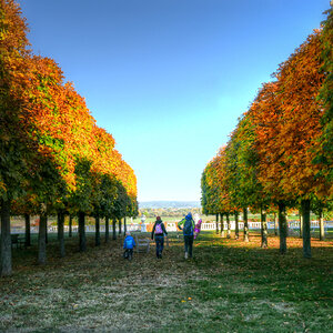 Herbstlicher Schlosspark