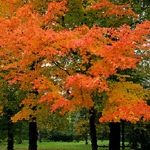 Herbstliche Impression