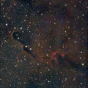 Elefantenrüssel Nebel IC1396