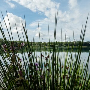 Baggersee