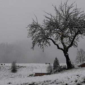 Der erste Schnee