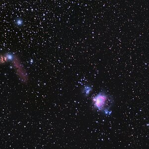 Orion: Ahorn-. Pferdekopf- und gr. Orionnebel