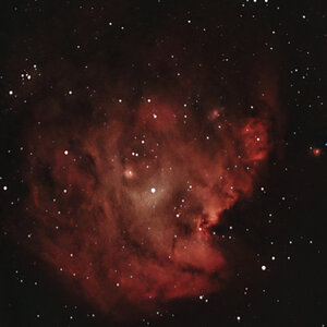 Der Affenkopfnebel: NGC2175