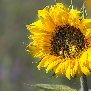 Wann wird es endlich wieder Sommer?