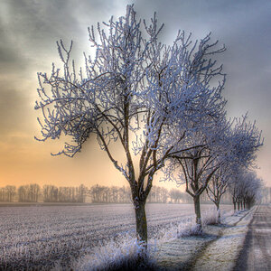Winter in Gerasdorf